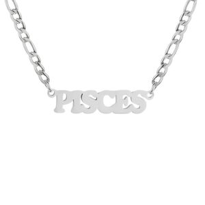 Pisces Necklace Zodiac Stainless Steel